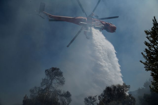 Σε ύφεση η φωτιά στην Ηλεία – Φόβοι για σχέδιο εμπρηστών