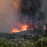 Πυρκαγιά στο Βαρθολομιό Ηλειας