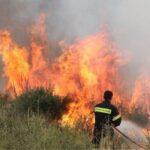 Υπό έλεγχο η πυρκαγιά στο Κοντοδεσπότι Ευβοίας