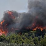 Πυρκαγιά σε δασική έκταση στην Αλεξανδρούπολη