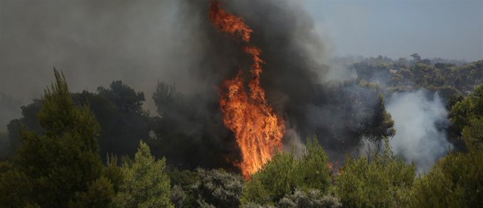 58 Δασικές πυρκαγιές εκδηλώθηκαν σε όλη την χώρα