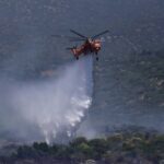 Άμεσα τέθηκε υπό μερικό έλεγχο η πυρκαγιά σε δασική έκταση στην περιοχή Καρούτες Φωκίδος