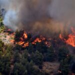 Πυρκαγιά στα Τριπόταμα Αχαΐας