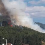 Πυρκαγιά σε δασική έκταση στην Ελασσόνα Λάρισας