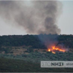 Πυρκαγιά στη Μόρια Λέσβου καίει ελαιόδεντρα