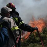 42 Δασικές πυρκαγιές εκδηλώθηκαν σε όλη την χώρα