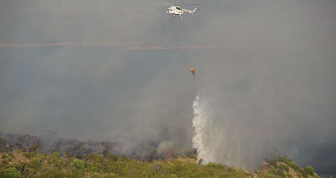 Πυρκαγιά σε δασώδη περιοχή στο χωριό Κισσάριο Εβρου