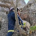 Η 5η ΕΜΑΚ έσωσε κατσίκια από γκρεμό!