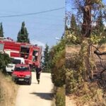 Ηγουμενιτσα: πυρκαγιά στην Νέα Σελεύκεια