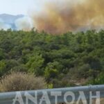 Μεγάλη πυρκαγιά σε δασική έκταση στο Βαθύ Αγ. Νικολάου..