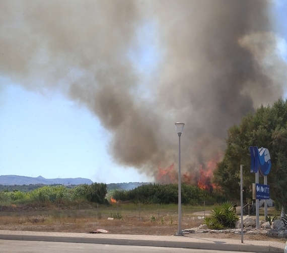 Πυρκαγιά σε δασική έκταση στην Μεσσηνία