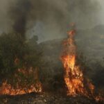 41 Δασικές πυρκαγιές εκδηλώθηκαν σε όλη την χώρα