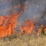 Πυρκαγιά σε ξερά χόρτα στο Χιλιομόδι Κορινθίας