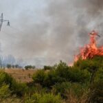 55 Δασικές πυρκαγιές εκδηλώθηκαν σε όλη την χώρα