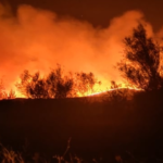 71 Δασικές πυρκαγιές εκδηλώθηκαν σε όλη την χώρα