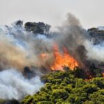 Πυρκαγιά στην Αλεξανδρούπολη Έβρου