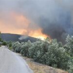 63 Δασικές πυρκαγιές εκδηλώθηκαν σε όλη την χώρα