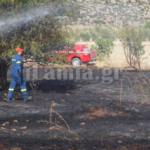 Λαμία : Φωτιά σε οικοπεδικό χώρο δίπλα σε σπίτια