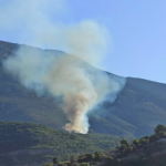 Σε εξέλιξη πυρκαγιά σε δασική έκταση στη Νεμέα Κορινθίας (Φώτο)