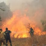 Υπό μερικό έλεγχο τέθηκε η δασική πυρκαγιά στην Μανη