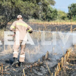 Ηλεια:δήμητρα πηνειού η Πυρκαγιά έκαψε δέκα στρέμματα αγροτικών εκτάσεων