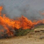 Νέα πυρκαγιά στην περιοχή της Καβυσσού