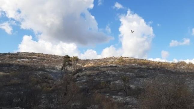 Χωρίς ενεργό μέτωπο αλλά με διάσπαρτες εστίες η πυρκαγιά στη Λευκίμη Σουφλίου