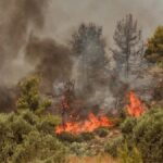 Τωρα: Πυρκαγιά εν υπαίθρω στην Σαλαμίνα Αττικής