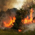 44 Δασικές πυρκαγιές εκδηλώθηκαν σε όλη την χώρα