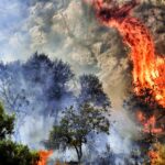 57 Δασικές πυρκαγιές εκδηλώθηκαν σε όλη την χώρα