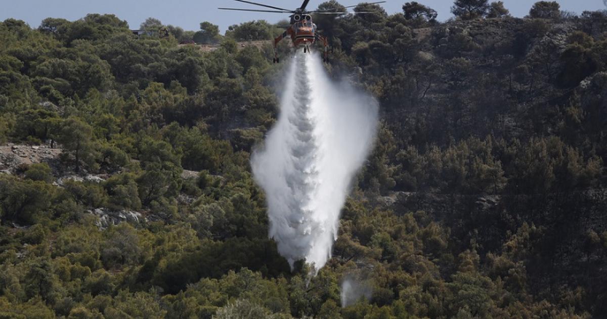 Υπό μερικό έλεγχο τέθηκε η πυρκαγιά σε δασική έκταση στην Εύβοια