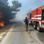 46 Δασικές πυρκαγιές εκδηλώθηκαν σε όλη την χώρα