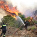 43 Δασικές πυρκαγιές εκδηλώθηκαν σε όλη την χώρα