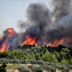 Πυρκαγιά σε δασική έκταση στη Θεσσαλονίκη