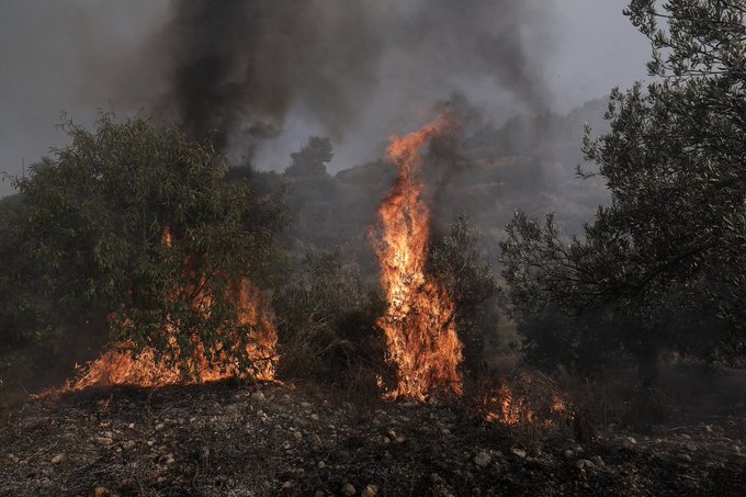 Σύλληψη ατόμου για δασική πυρκαγιά στον Έβρο