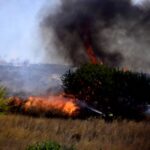 Πρόστιμο 300 ευρώ σε κάτοικο των Γλαφυρών για φωτιά στην ύπαιθρο – Σε ισχύ η αντιπυρική περίοδος