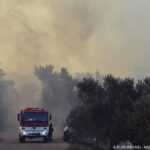 Πυρκαγιά σε δασική έκταση κοντά στον ποταμό Ερύμανθο στην Ηλεία