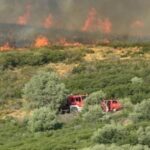 Πυρκαγιά σε δασική έκταση στη Μιτόπολη Αχαΐας