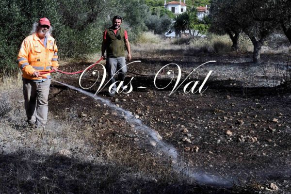 Πυρκαγιά στο Καρμπουνάρι Λουτρακίου (φωτο)