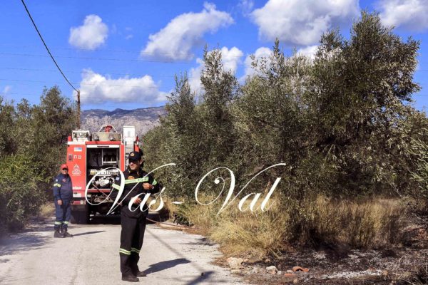 Πυρκαγιά στο Καρμπουνάρι Λουτρακίου (φωτο)