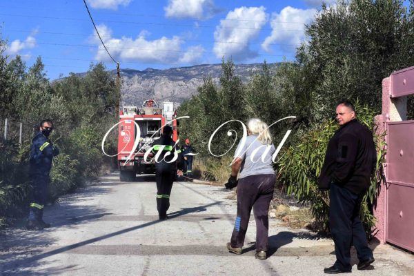 Πυρκαγιά στο Καρμπουνάρι Λουτρακίου (φωτο)