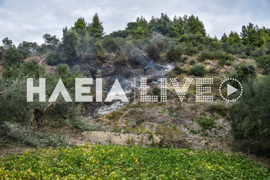 Ηλεία: Δύο πυρκαγιές σε Επιτάλιο - Καλλίκωμο