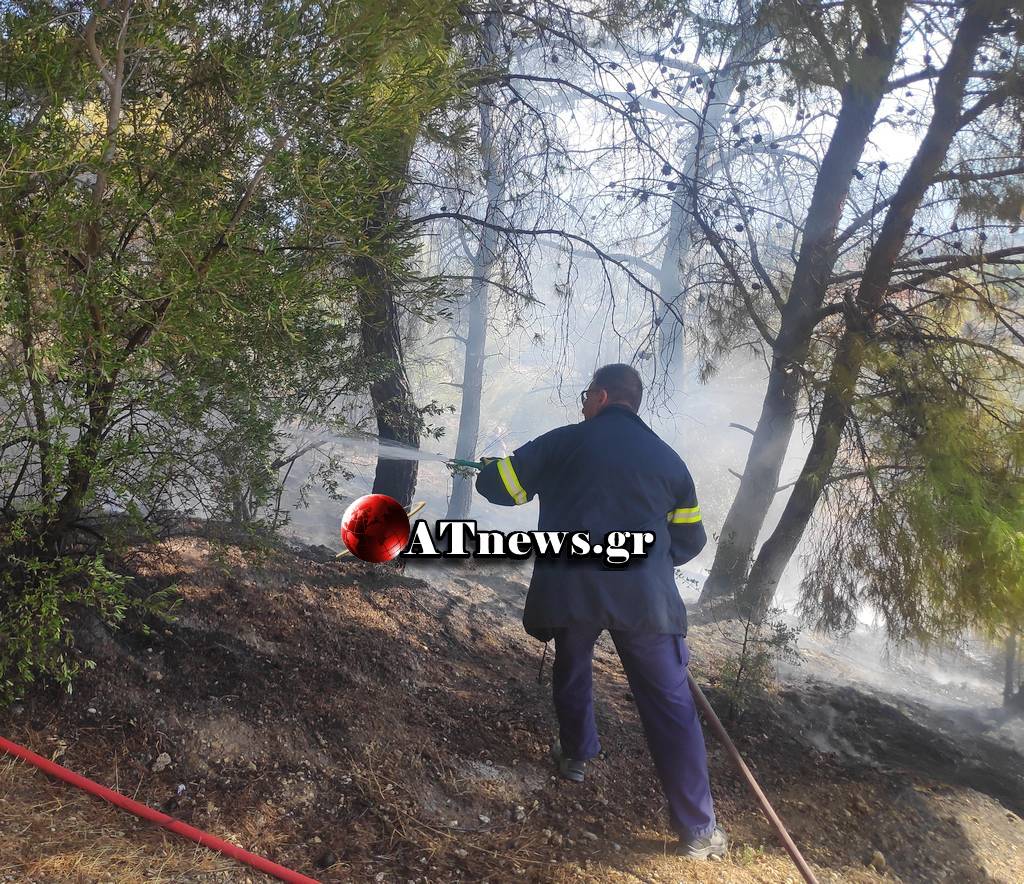 Πυρκαγιά στη θέση Κατσιβίρι στους στους Αγίους Θεοδώρους Κορινθίας