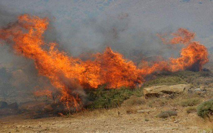 Πυρκαγιά στην Καλλιτεχνούπολη Αττικής