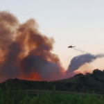 Ρεκόρ εννιαετίας στις πυρκαγιές της Ηλείας