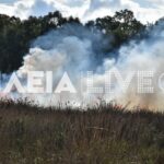 Πυρκαγιά σε χορτολιβαδική έκταση στην Σπιάντζα Πύργου