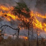 Αργεντινή: Κάηκαν 65.000 στρέμματα δασικών εκτάσεων, ενώ η πυρκαγιά μαίνεται στο νότο