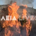 Χειμαδιό Ηλείας: Δύσκολη πυρκαγιά για την Πυροσβεστική, έκαψε 15 στρέμματα