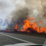 Πυρκαγιά στην Παλιά Εθνική Οδό Ευζώνων - Θεσσαλονίκης (Φώτο)