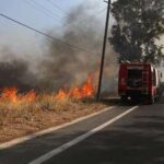 56 Δασικές πυρκαγιές το τελευταίο 24ωρο